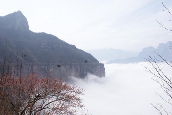 走进新乡南太行天界山云海！